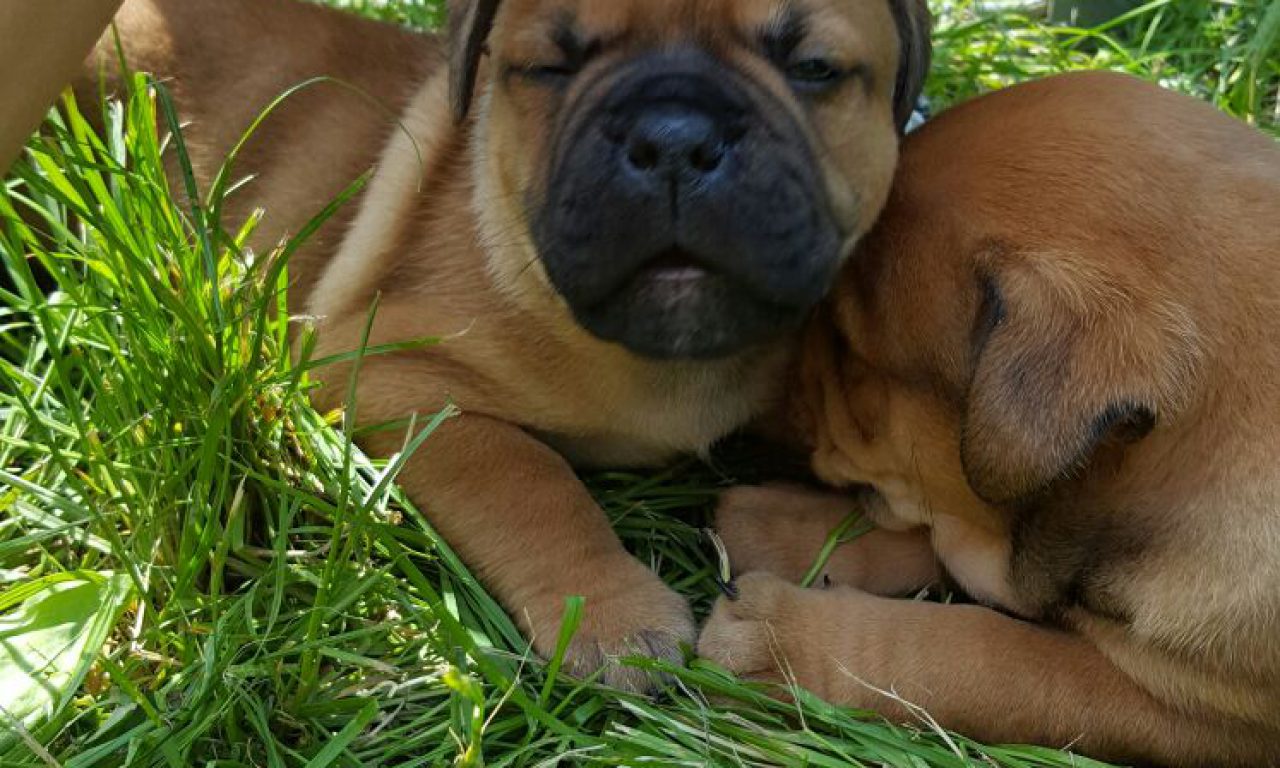 3. Besuch bei den Asgard’s – Maßnehmen