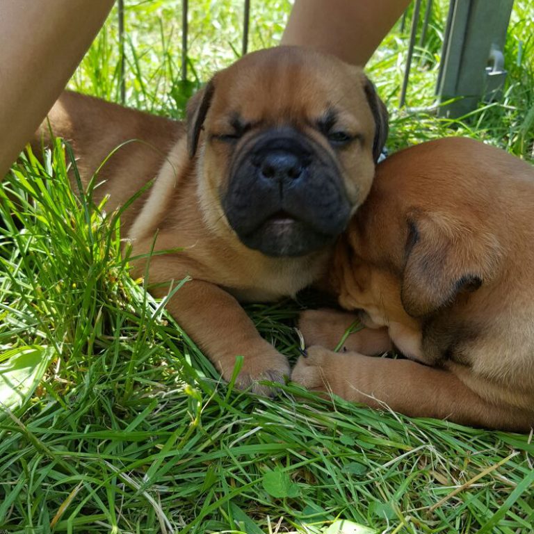 3. Besuch bei den Asgard’s – Maßnehmen