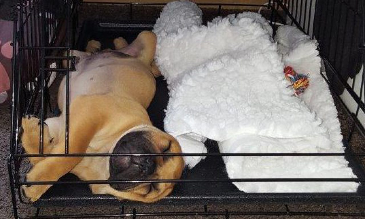 Der 2. Tag im neuen Heim