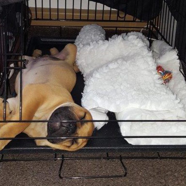 Der 2. Tag im neuen Heim