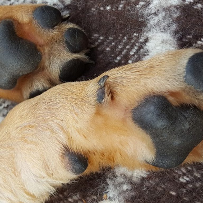 Da leben, wo andere Urlaub machen. ,,Talsperre Pöhl“