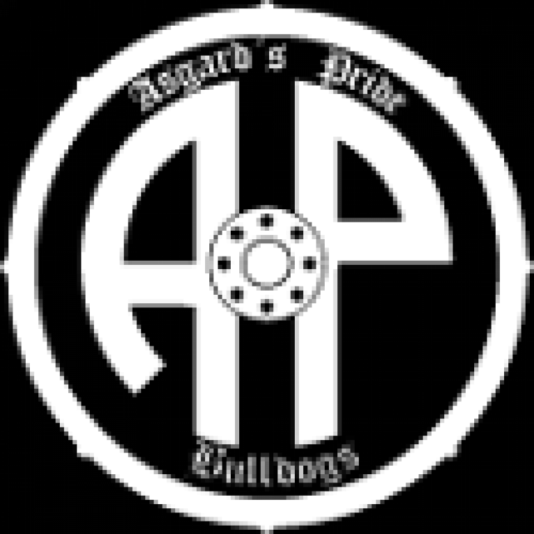 1. Besuch – auf nach Asgard!