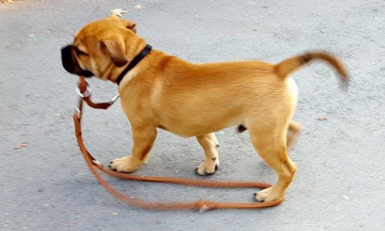 5.Monat – Training, alte und neue Freunde und eine Überraschung