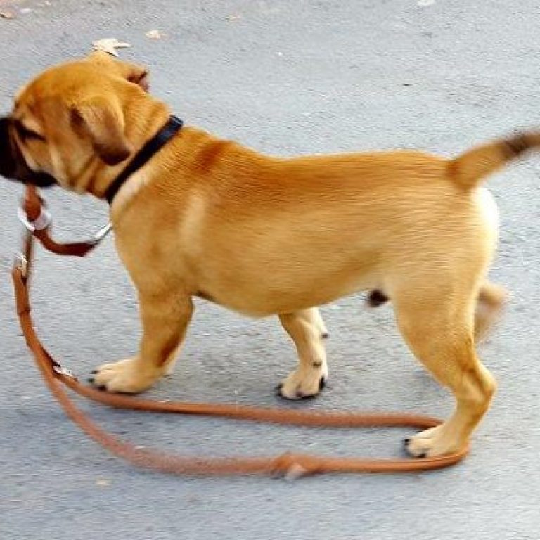 5.Monat – Training, alte und neue Freunde und eine Überraschung