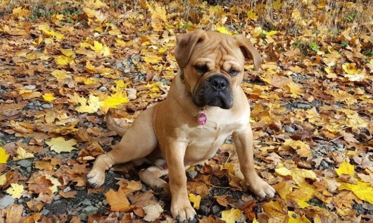 6.Monat – Herbstferien in Kroatien