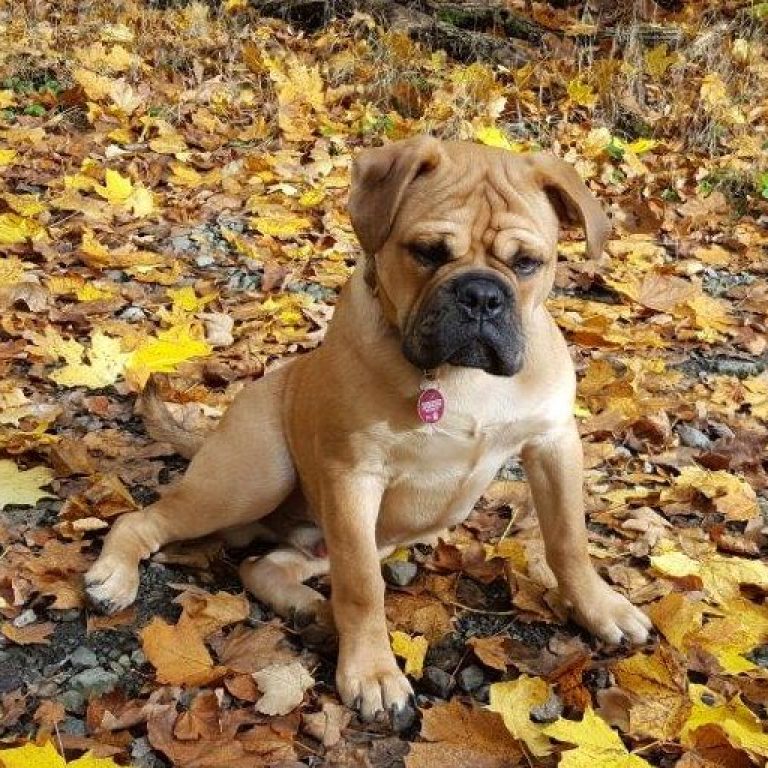 6.Monat – Herbstferien in Kroatien