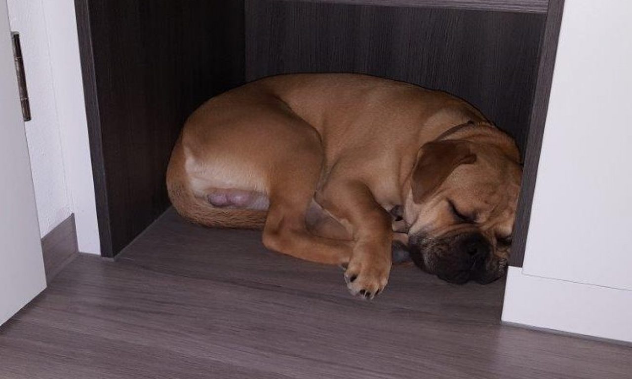 7.Monat – Kur in Dürmentingen