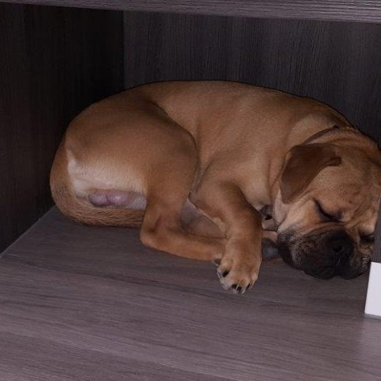 7.Monat – Kur in Dürmentingen