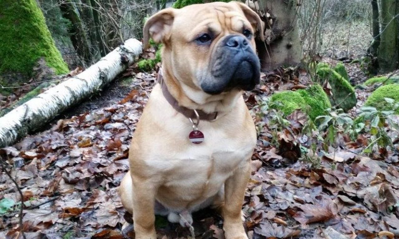 8.Monat – Freundin Yola