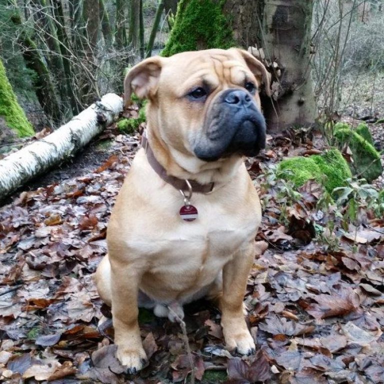 8.Monat – Freundin Yola