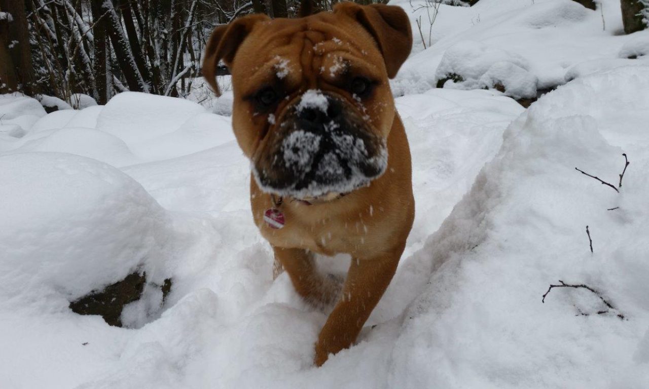 9.Monat – Der erste Schnee