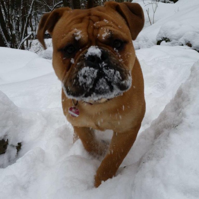 9.Monat – Der erste Schnee