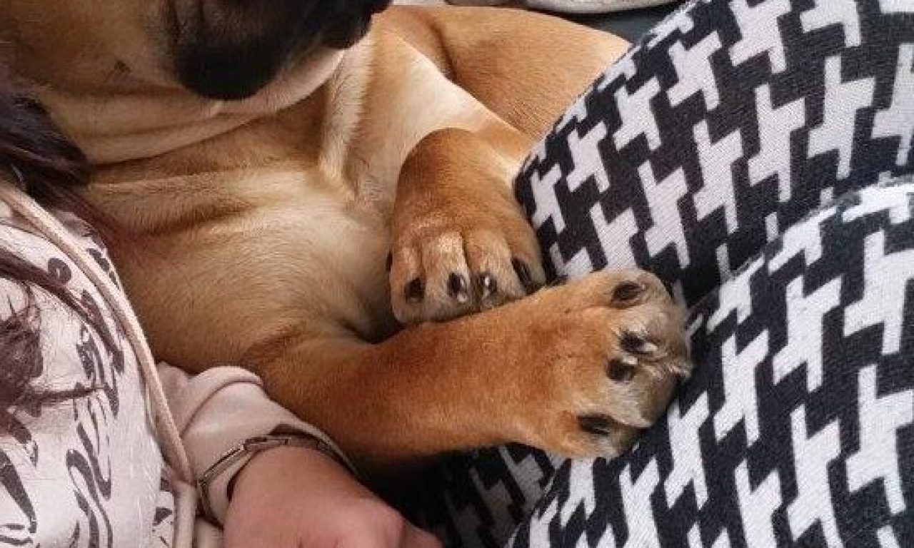 10.Monat – Winter, chillen und Training