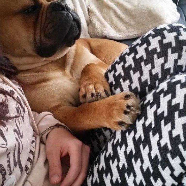 10.Monat – Winter, chillen und Training