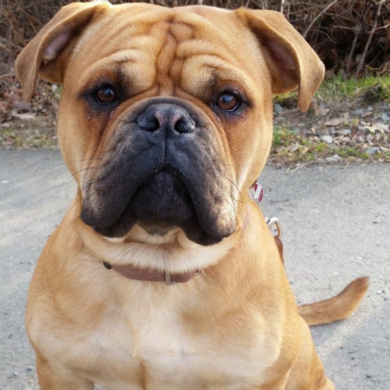 11.Monat – Frühlingsanfang