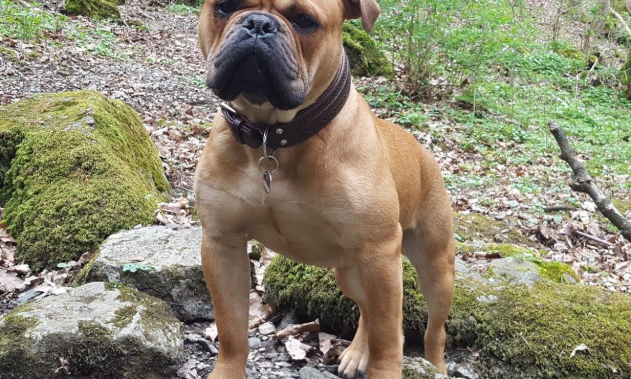 12.Monat – Sonne satt im Frühling