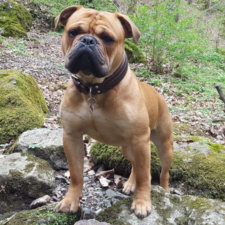 12.Monat – Sonne satt im Frühling