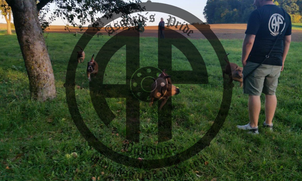 Letztes Treffen auf Asgard im Herbst 2017